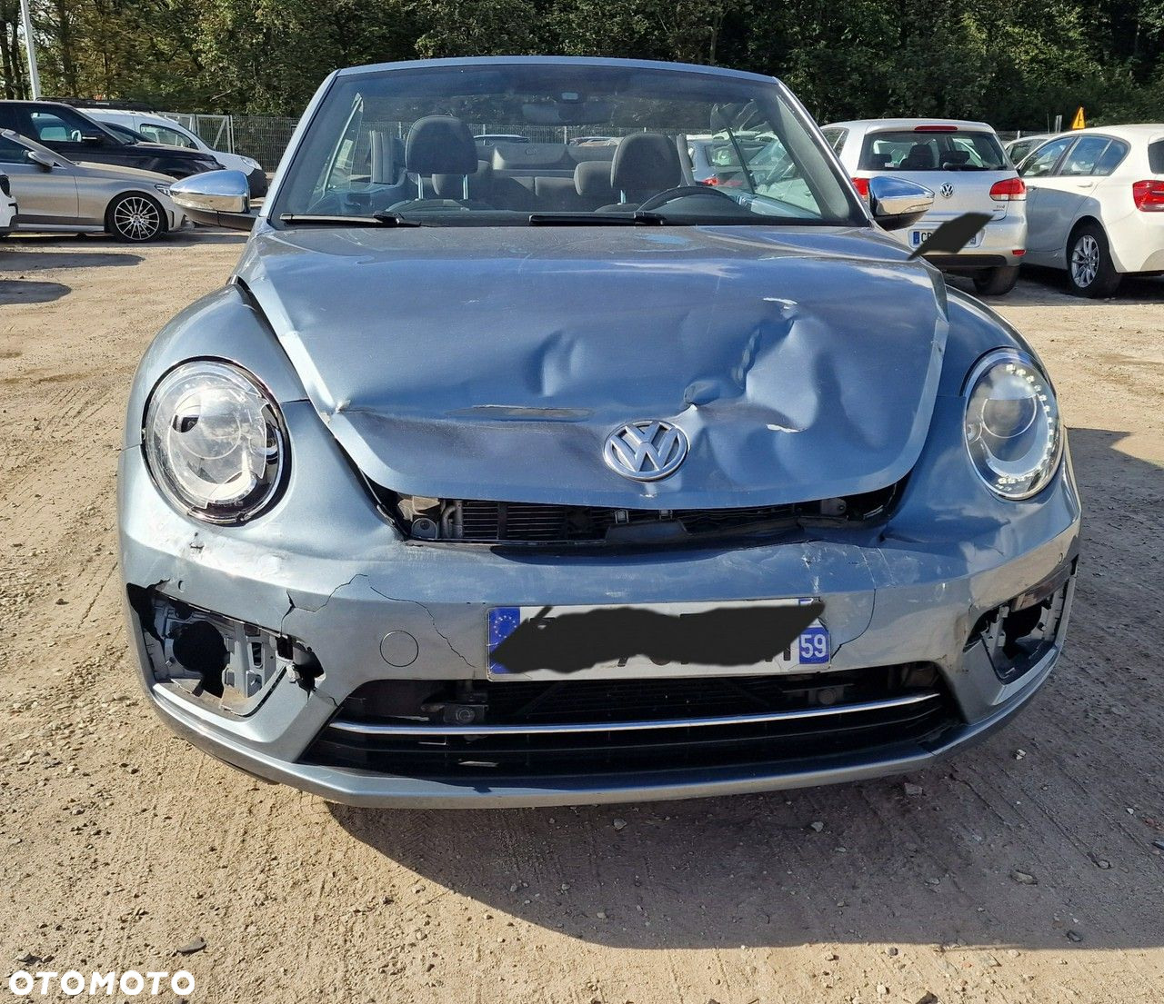 Volkswagen Beetle - 12