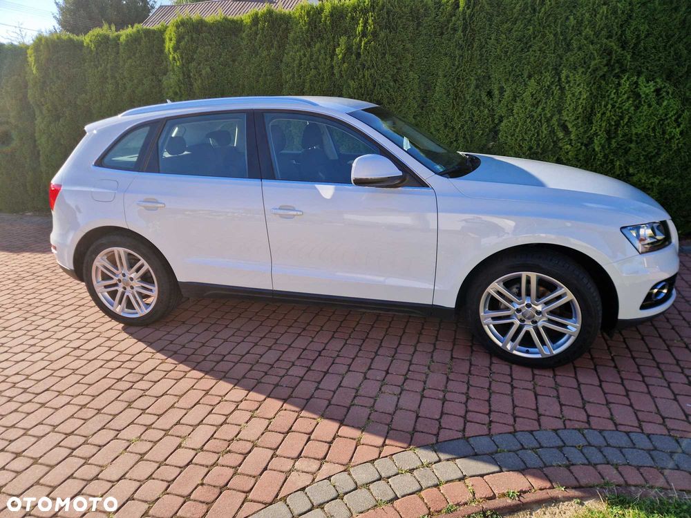Audi Q5 - 2
