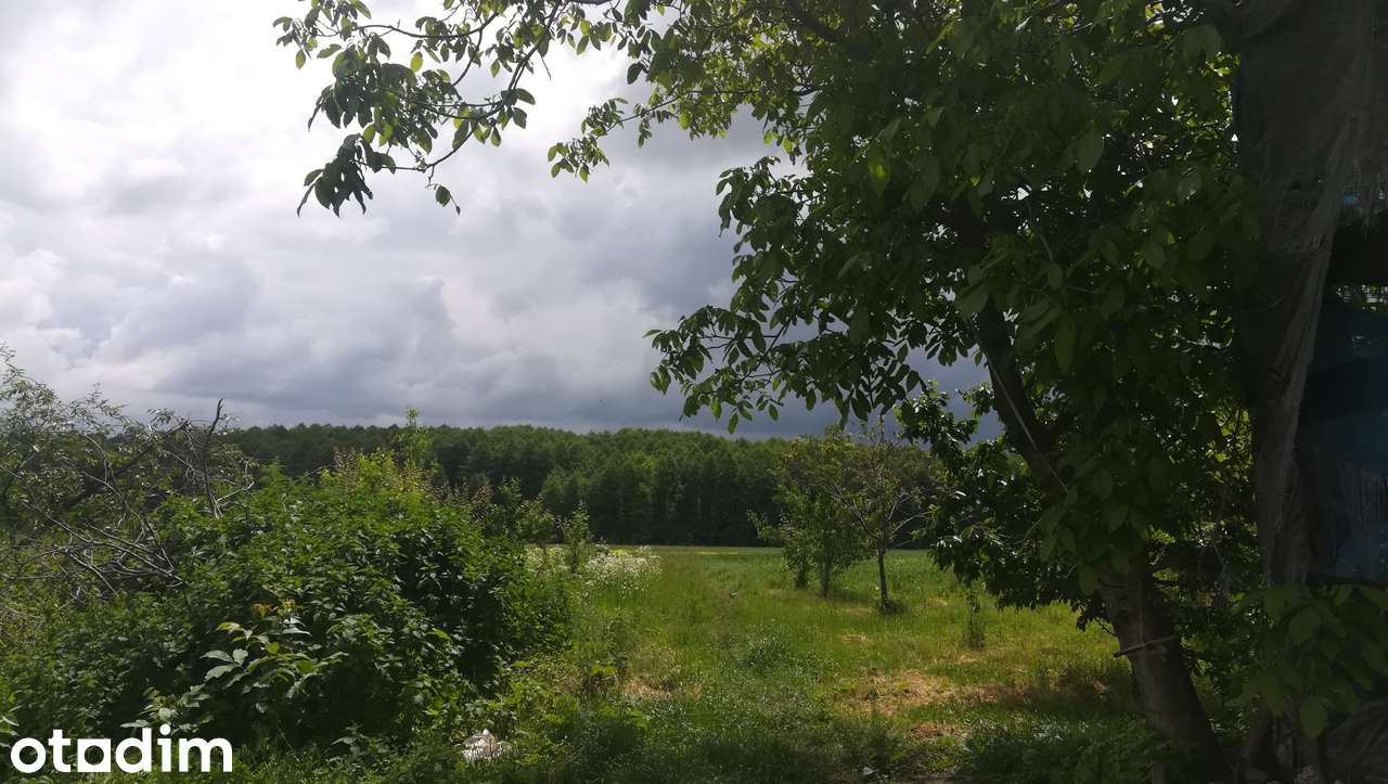 Цегляний будинок з садом, городом та господарськими спорудами - Повне зображення: 5/8