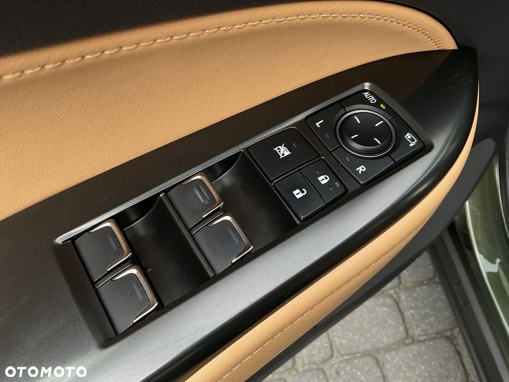Lexus NX - 19