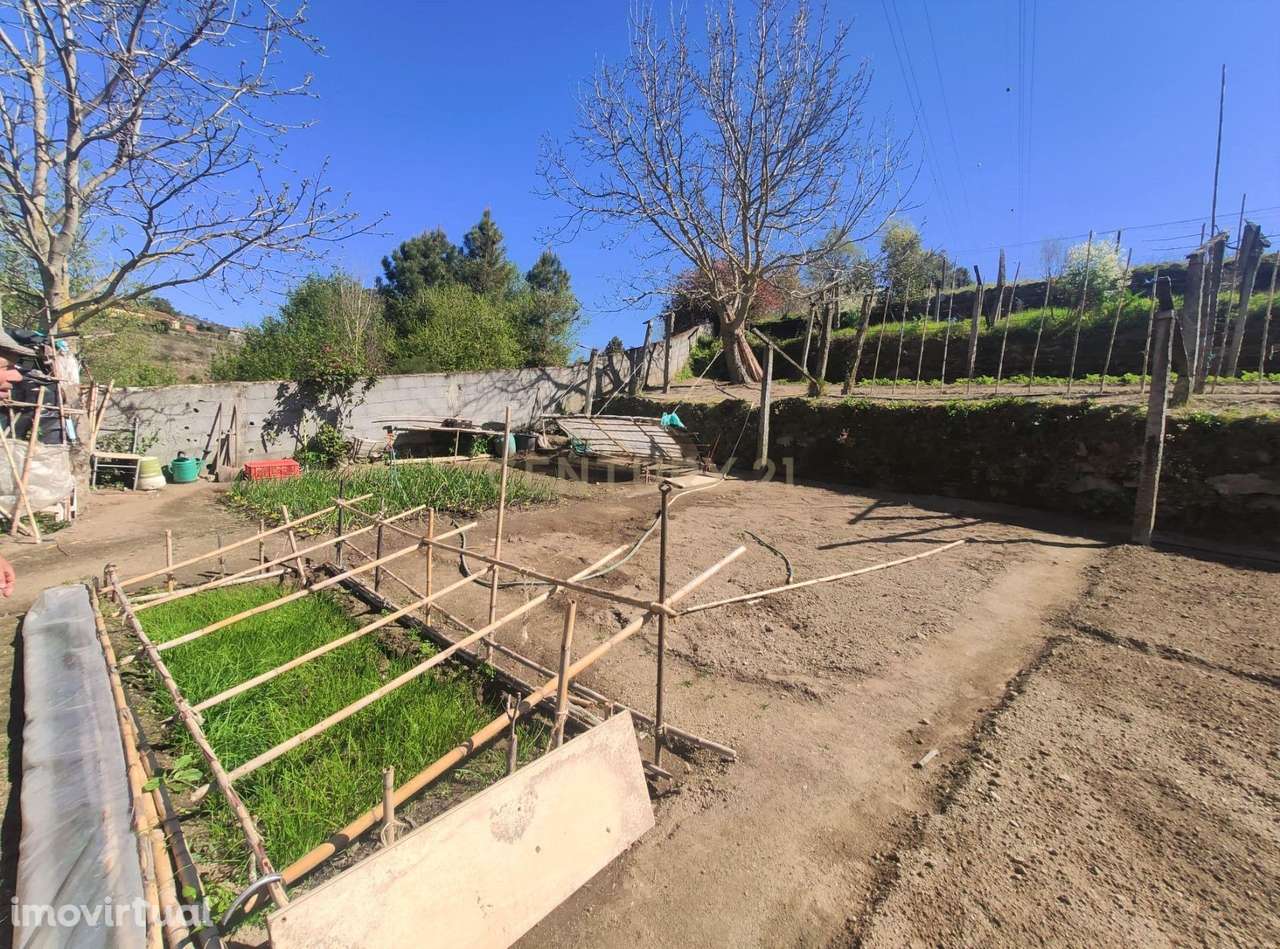 Terreno de construção e agrícola  com  água  e  grande moradia no cent - Grande imagem: 2/26