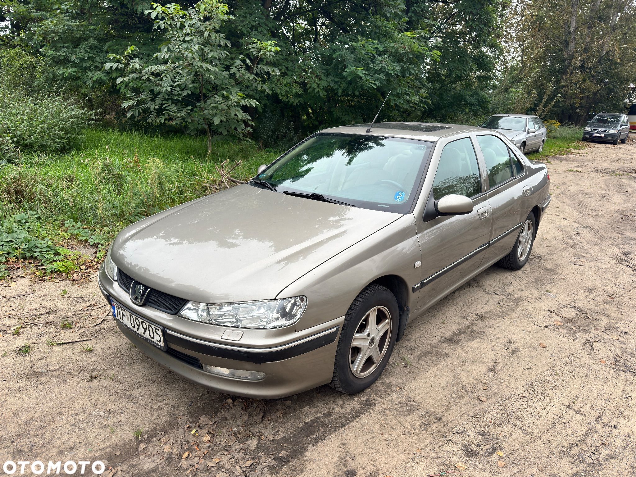 Peugeot 406 2.0 SV Turbo - 1