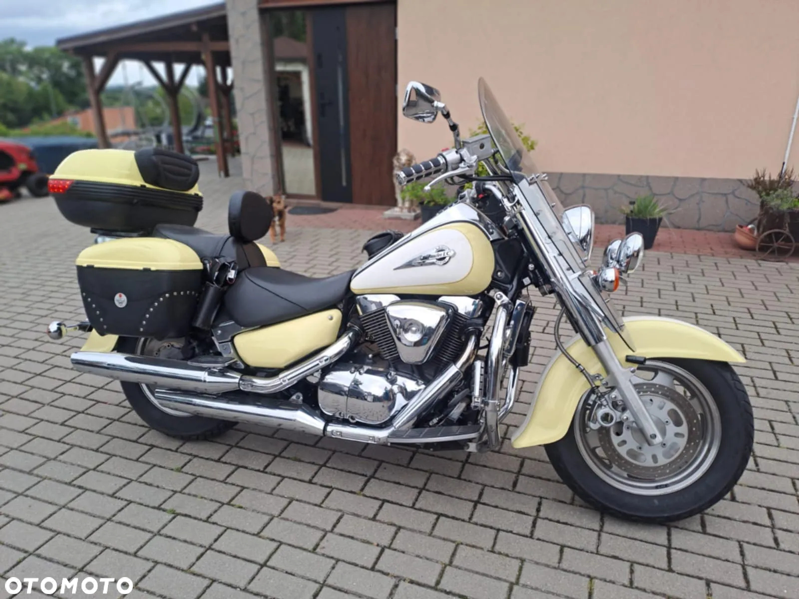 Suzuki Intruder - 2