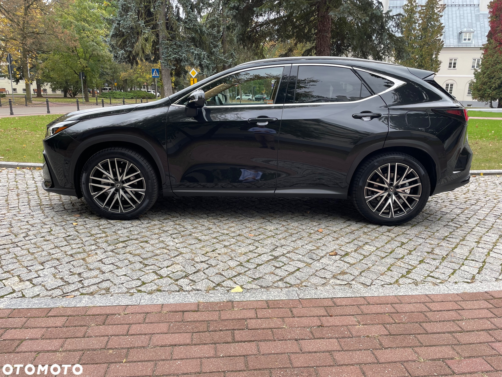 Lexus NX 350h Omotenashi AWD - 4