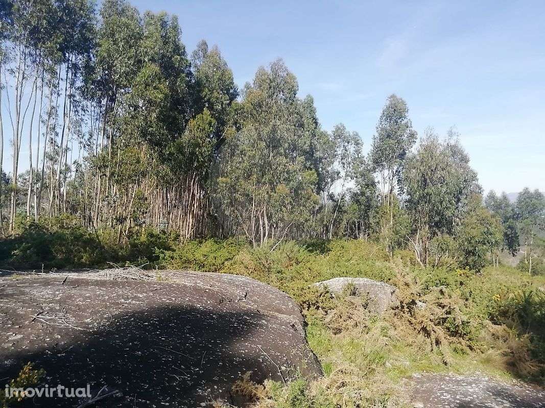 Terreno  para venda - Grande imagem: 2/4
