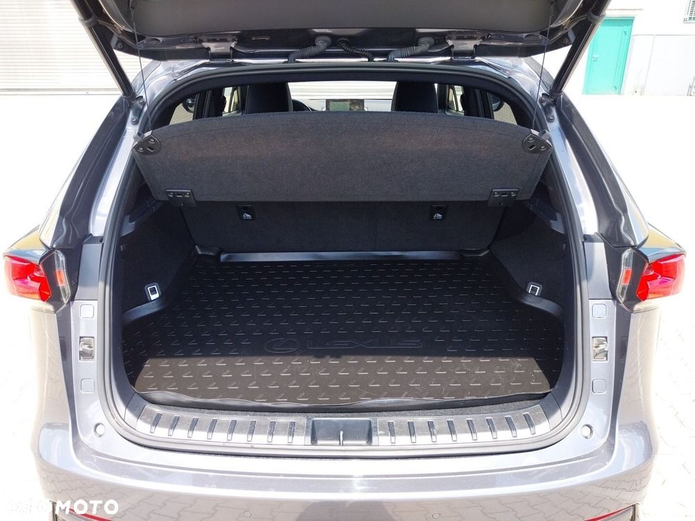 Lexus NX 300h F Sport Edition AWD - 29