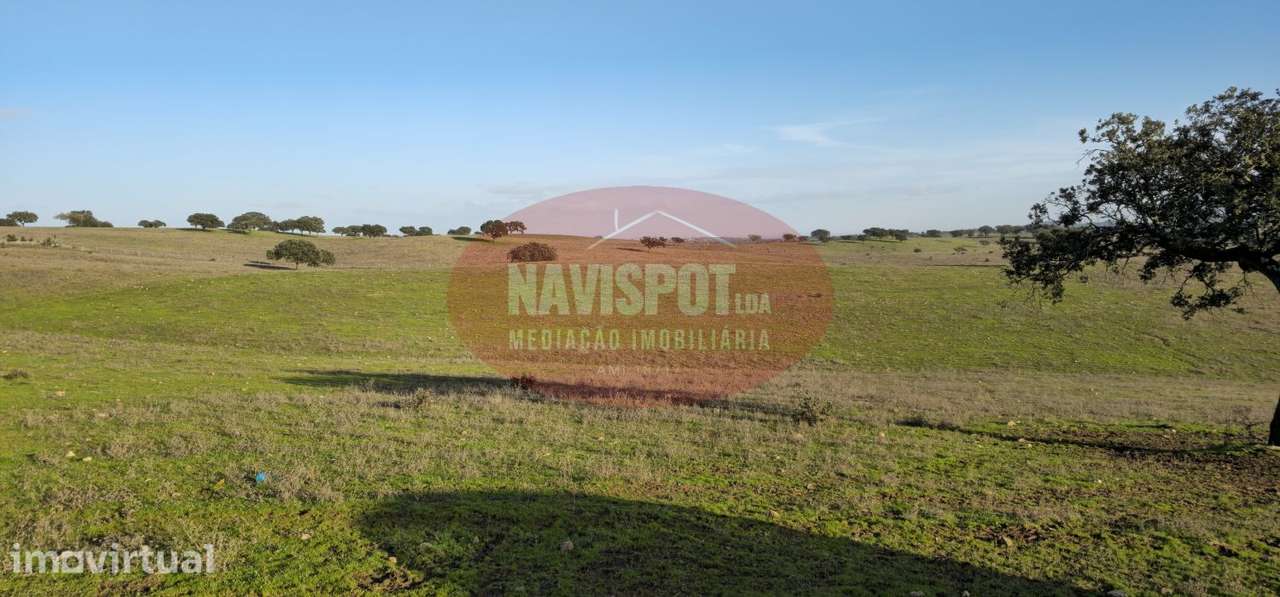 Herdade com 36 ha em Santo António do Baldio - Grande imagem: 2/14
