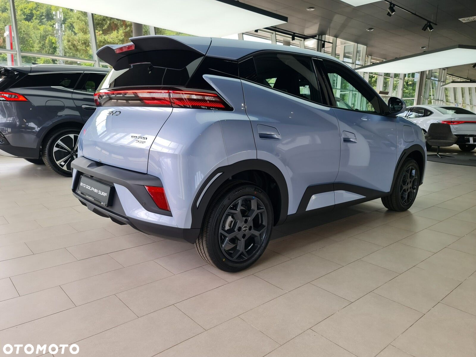 BYD Dolphin Surf - 10