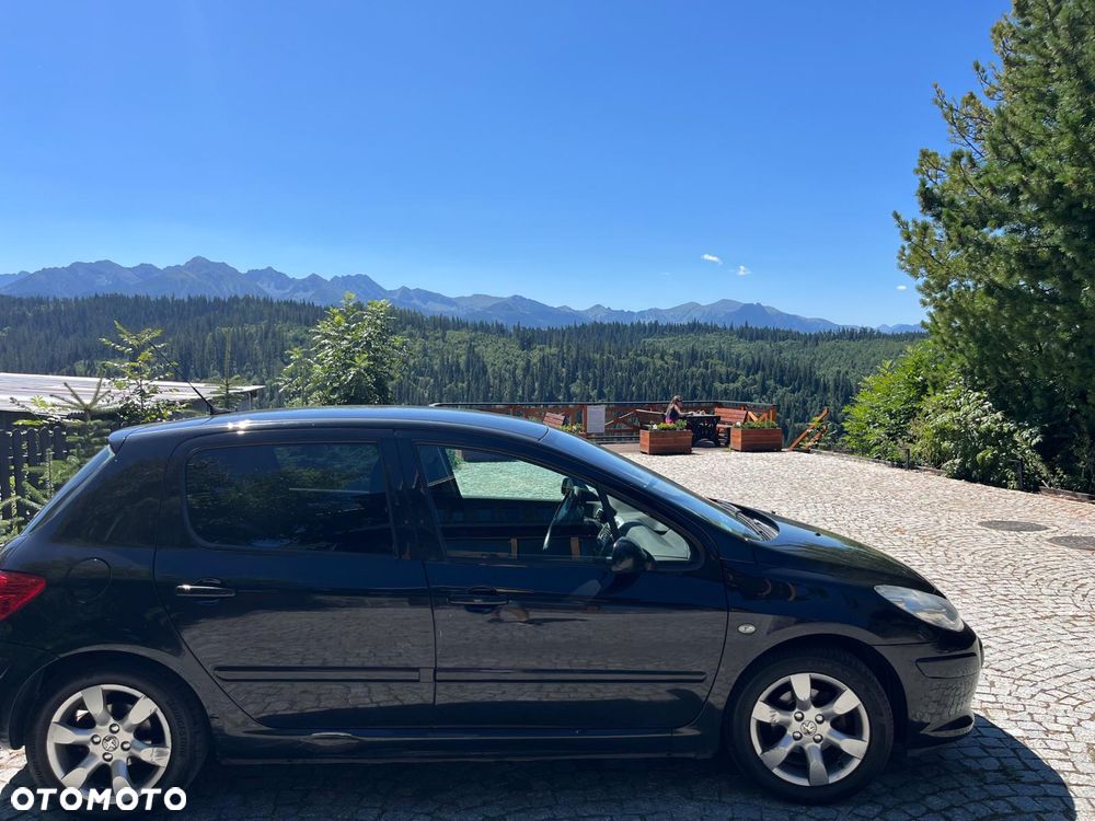 Peugeot 307 - 6