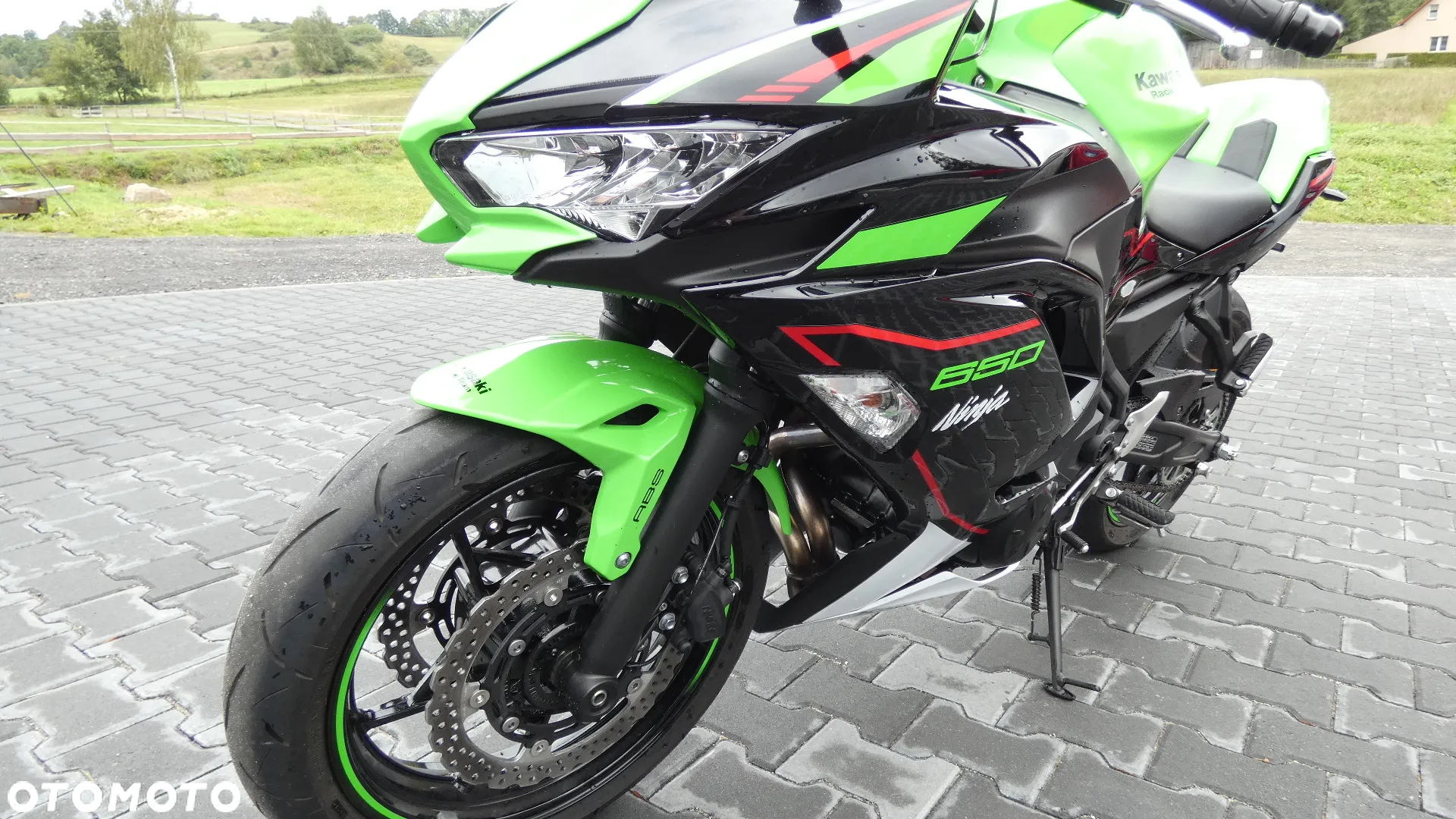 Kawasaki Ninja - 10