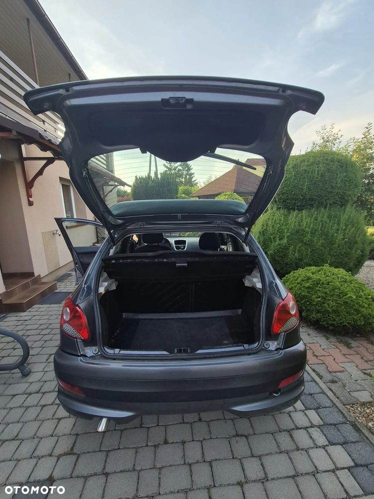 Peugeot 206 plus - 7