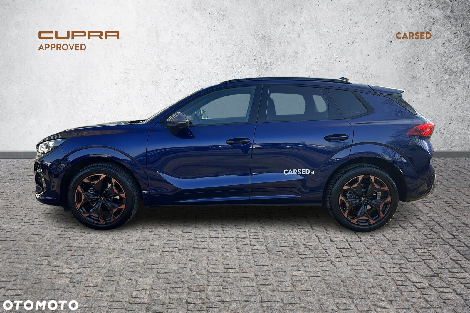 Cupra Terramar - 2