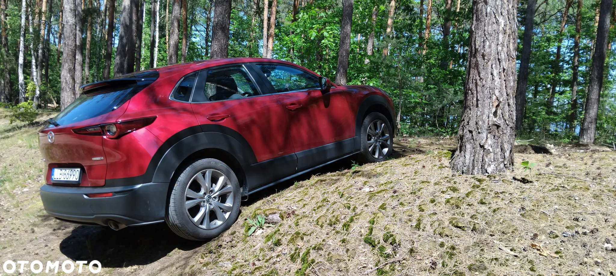 Mazda CX-30 SKYACTIV-X 2.0 M-Hybrid AWD SELECTION - 5