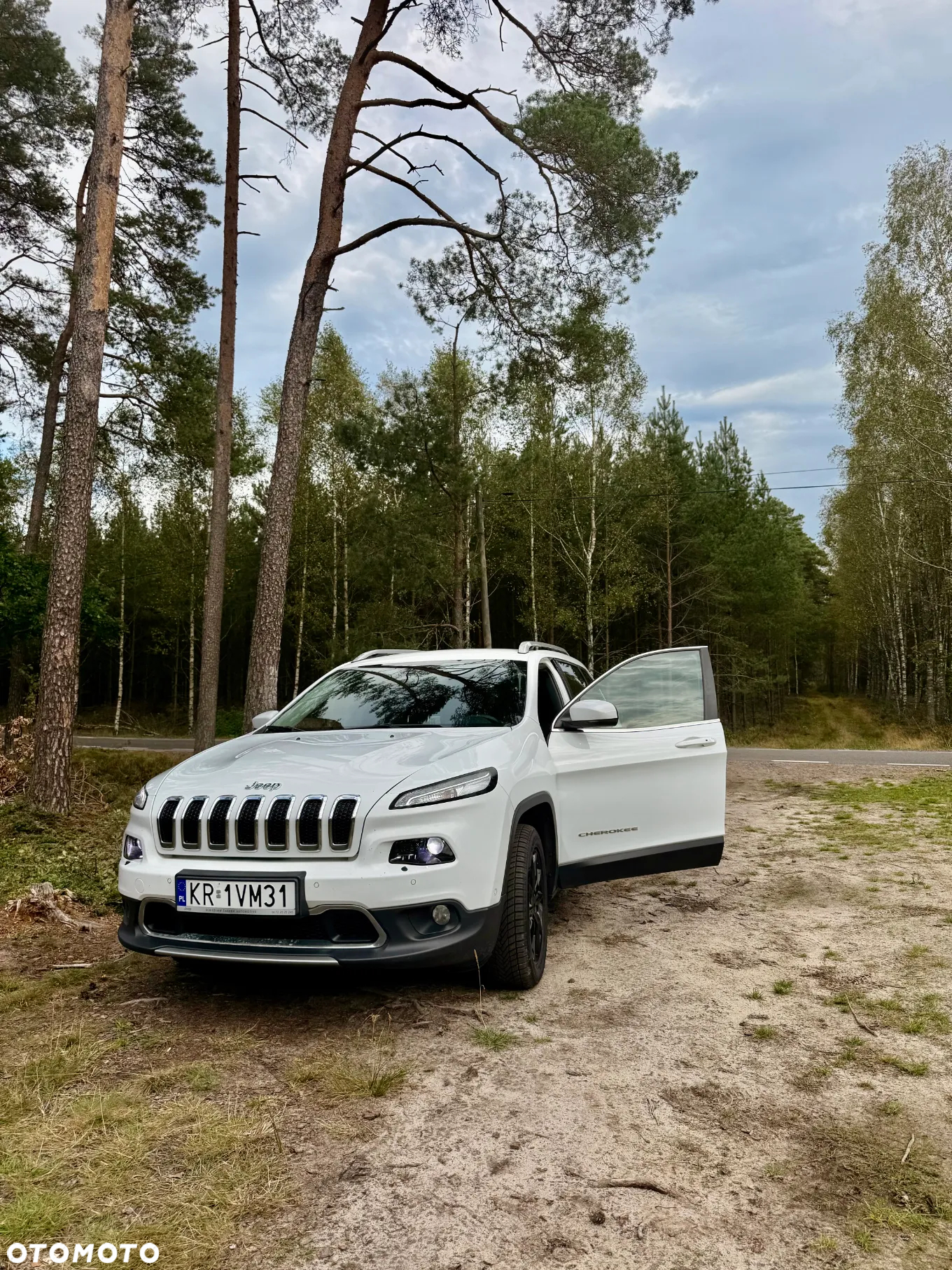 Jeep Cherokee 3.2 V6 Active Drive I Limited - 8