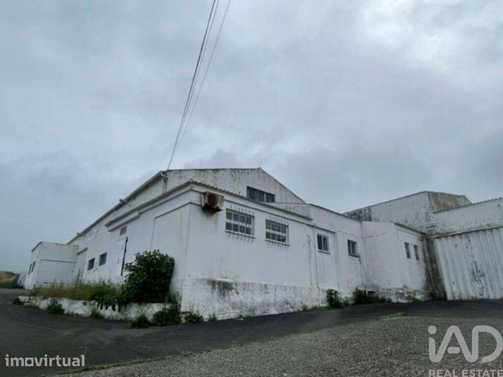 Hangar em Praia da Vitória (Santa Cruz) de 2202,00 m2 - Grande imagem: 3/17