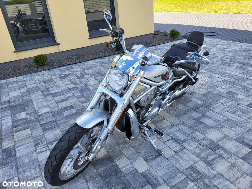 Harley-Davidson V-Rod Street Rod - 19