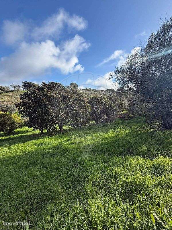 Terreno  para venda - Grande imagem: 5/13