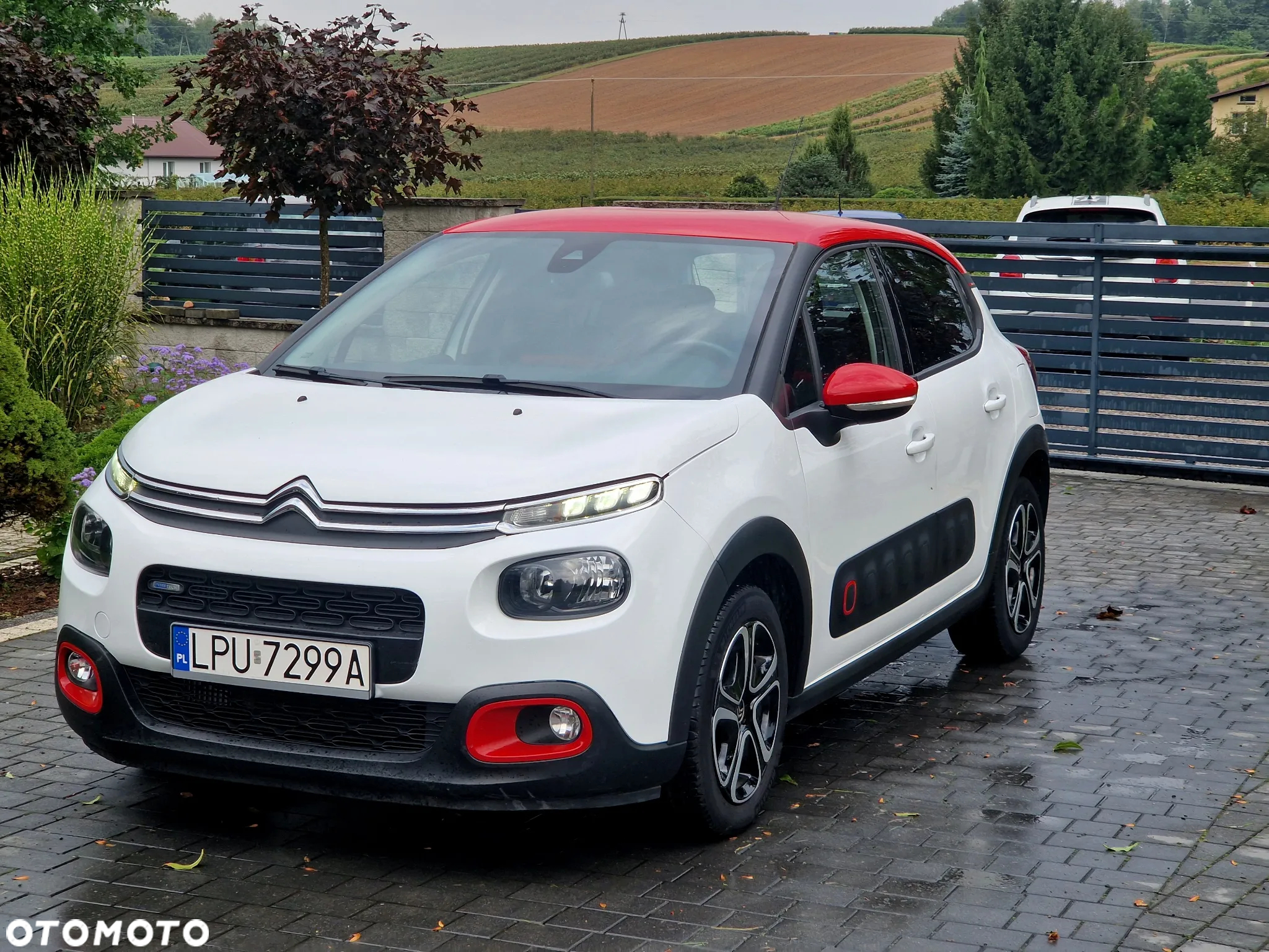 Citroën C3 1.2 PureTech Shine - 14