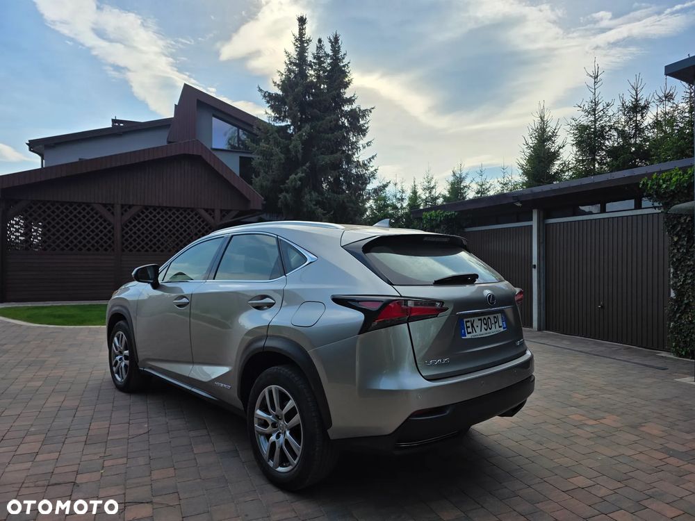 Lexus NX 300h - 5