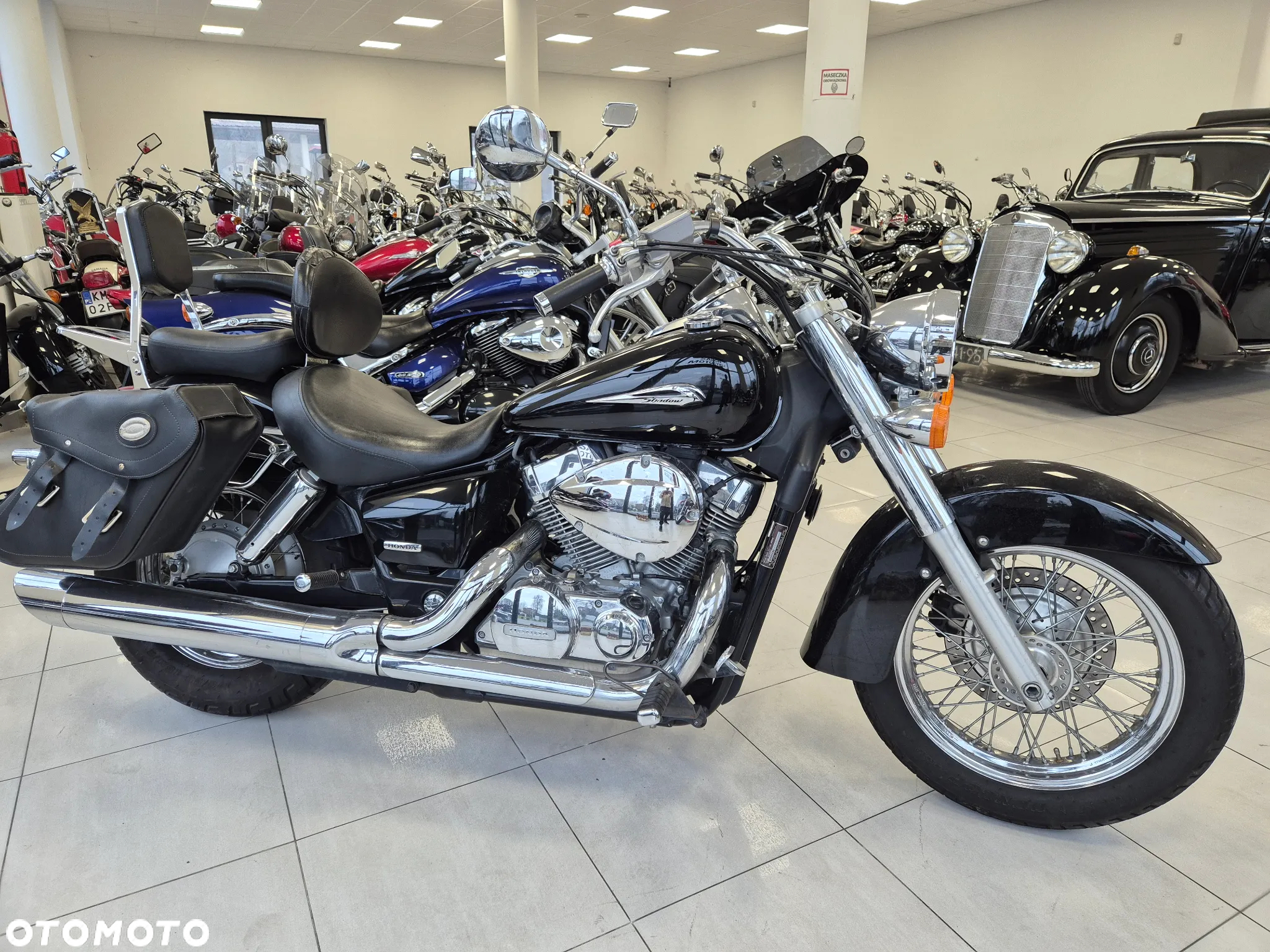 Suzuki Intruder - 7