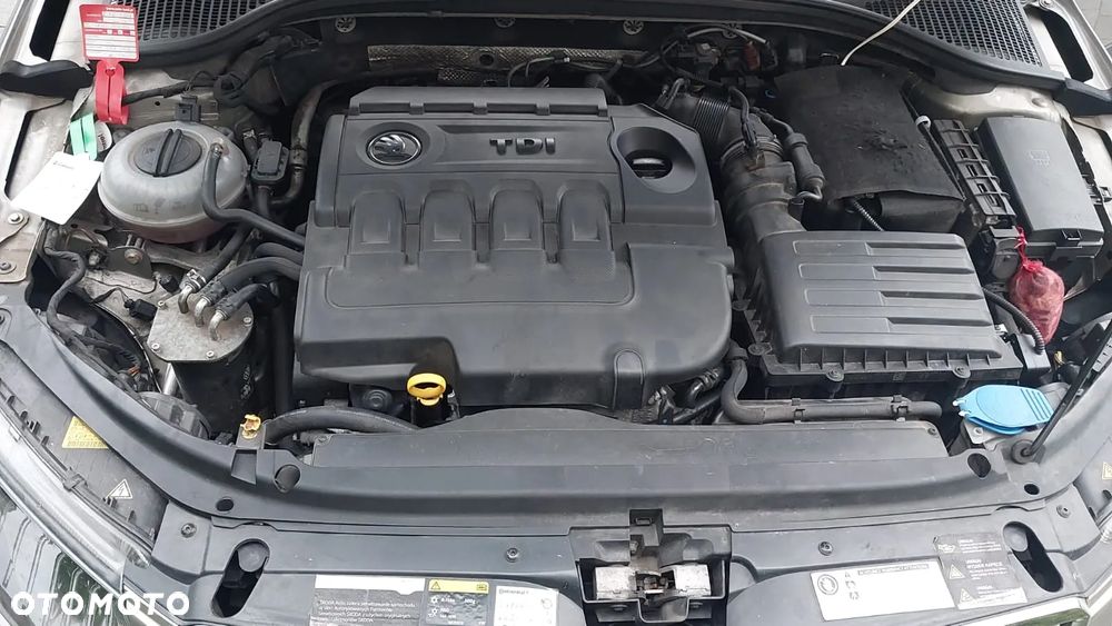 Skoda Octavia Scout 2.0 TDI 4x4 DSG - 23