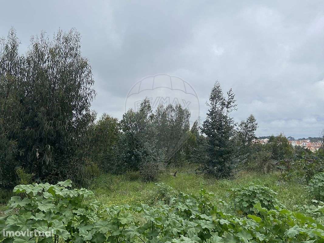 Terreno  para venda - Grande imagem: 2/5