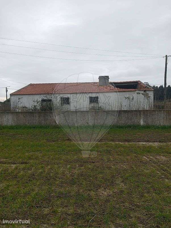 Quinta  para venda - Grande imagem: 3/14