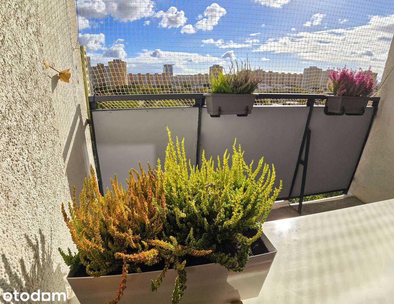 2 pokoje z balkonem, 48 m² | Po remoncie | Warszawa Praga-Płd/Grochów