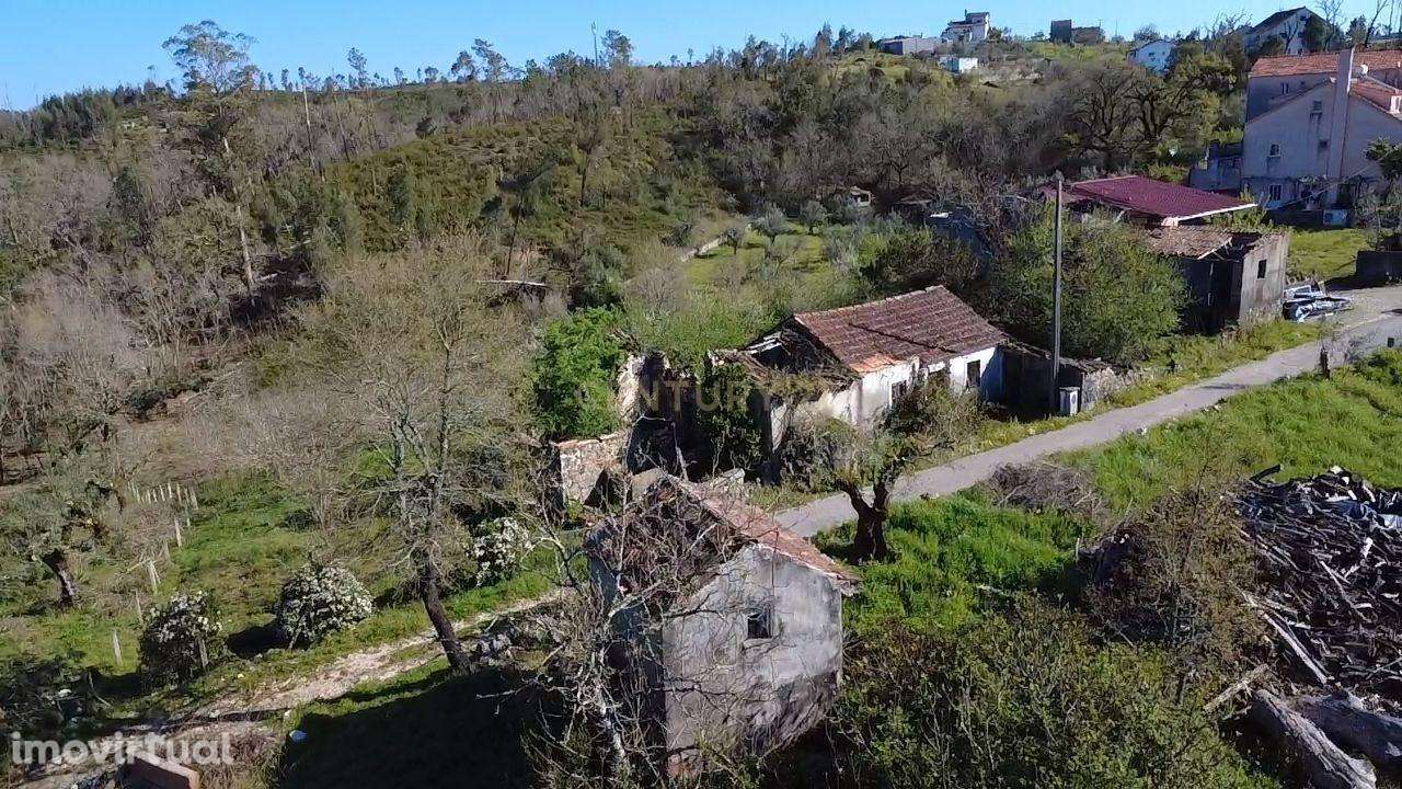 Ruína com Poço e Terreno de 4.500m² com Nogueiras – Vista Desafogada e - Grande imagem: 3/7