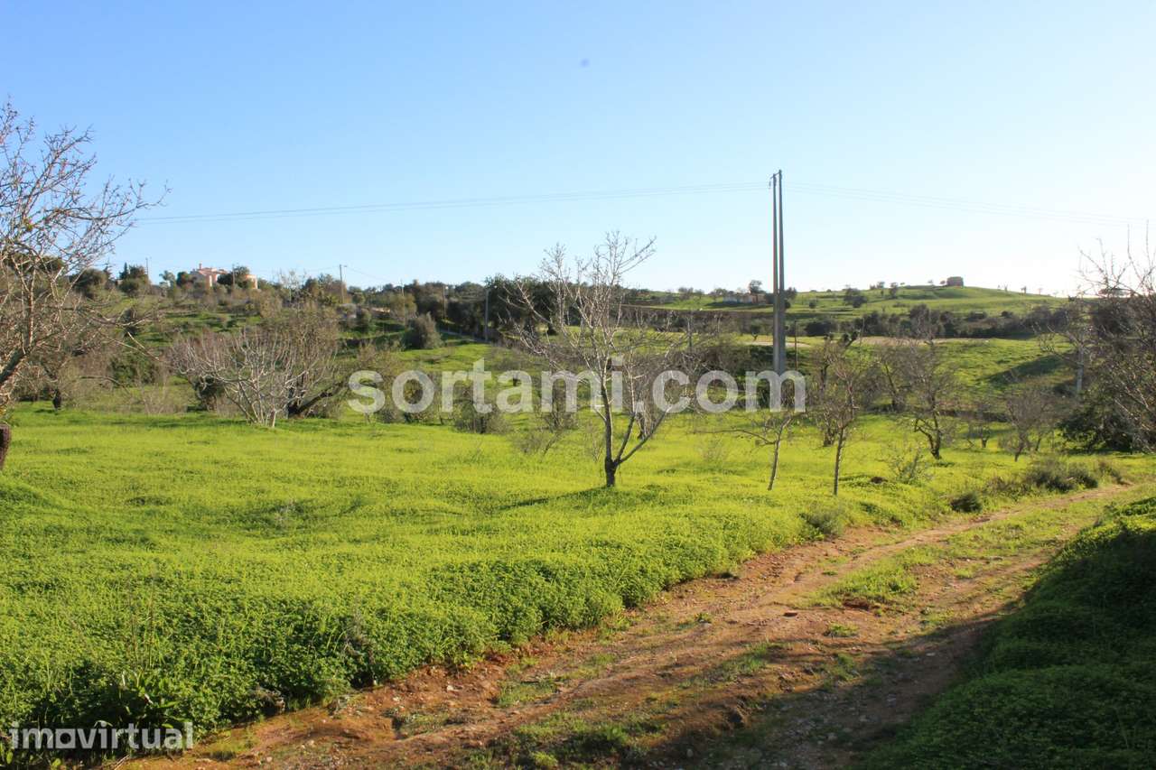 Terreno Rústico  Venda em Estômbar e Parchal,Lagoa (Algarve) - Grande imagem: 2/7