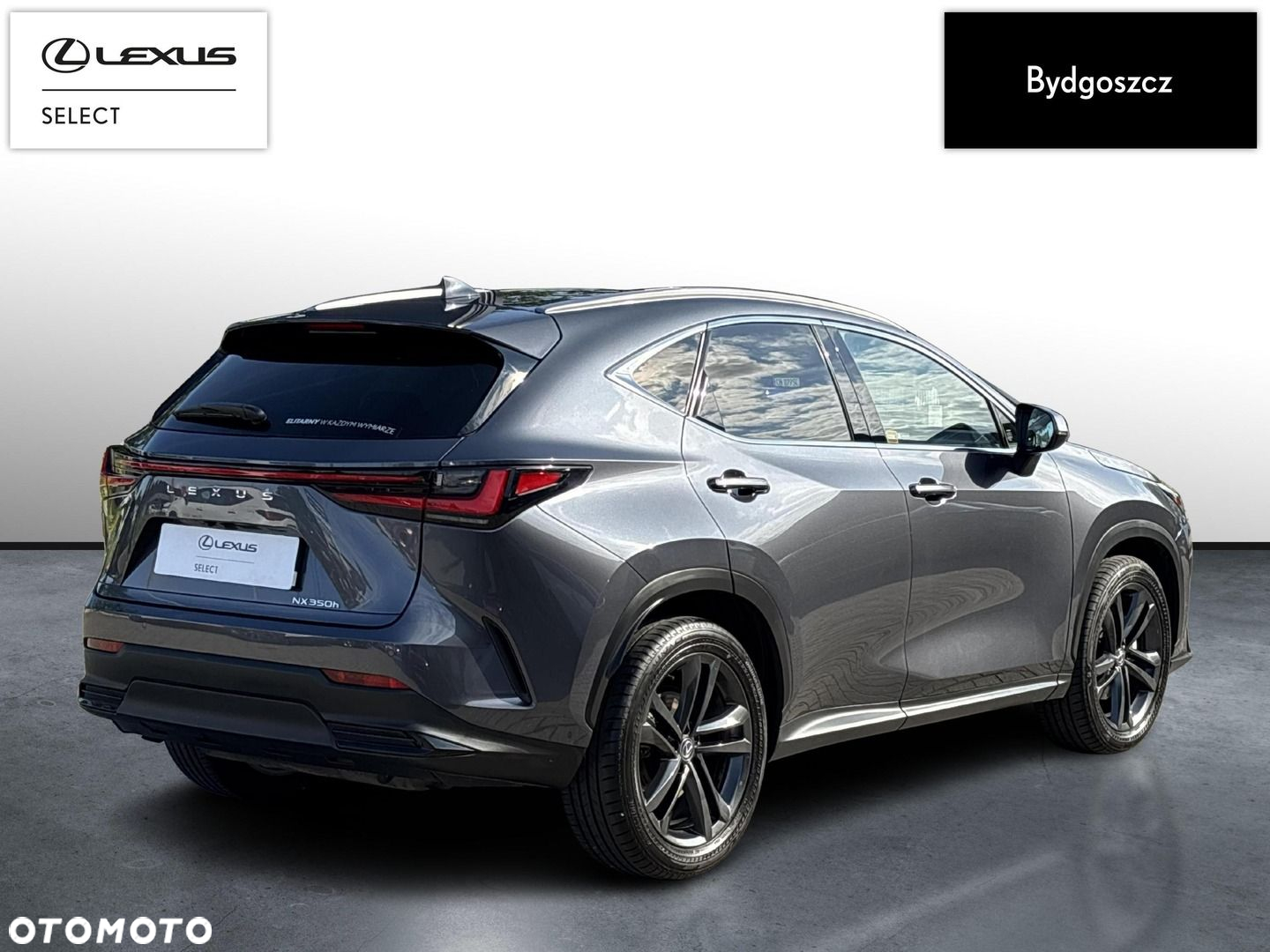 Lexus NX - 5