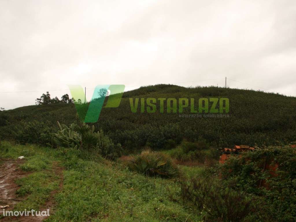 Terreno Com Ruína Para Venda. - Grande imagem: 3/10