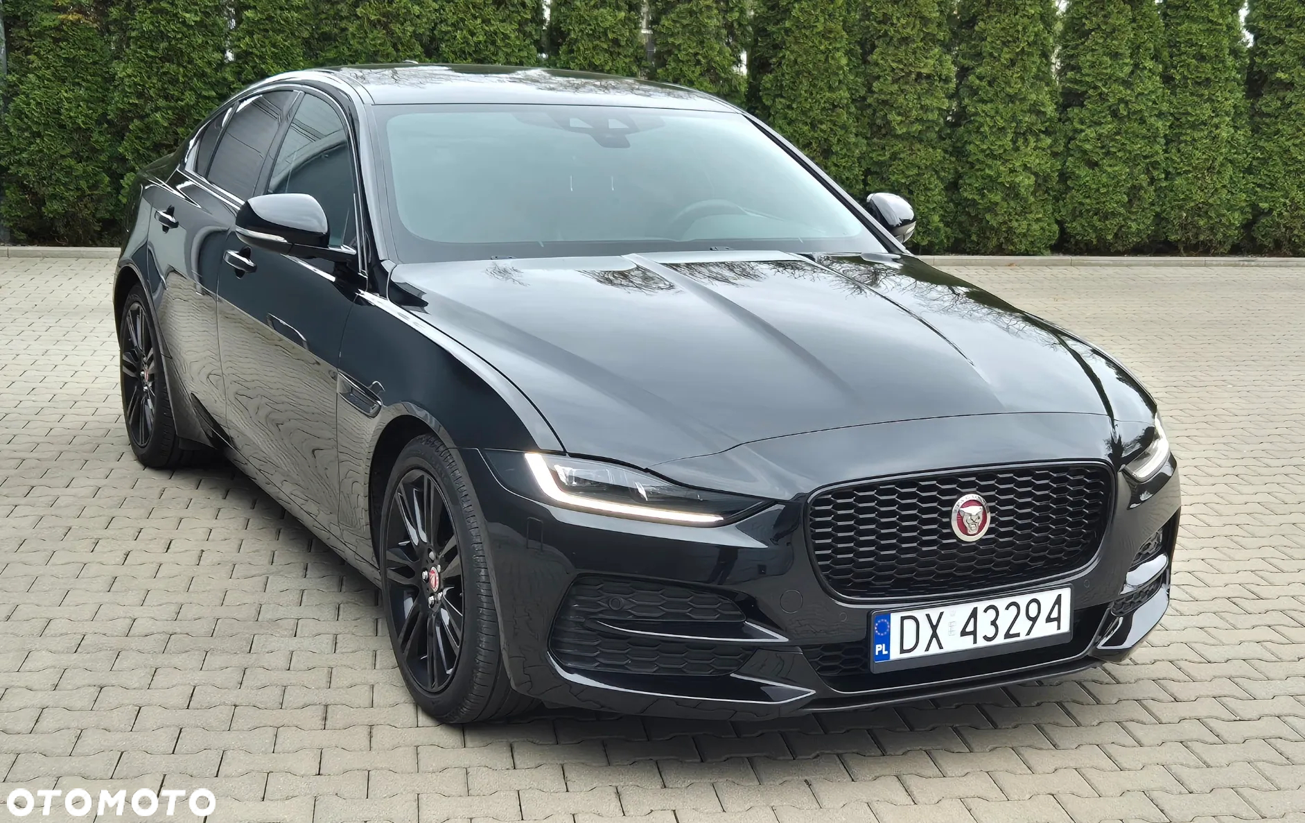 Jaguar XE - 18