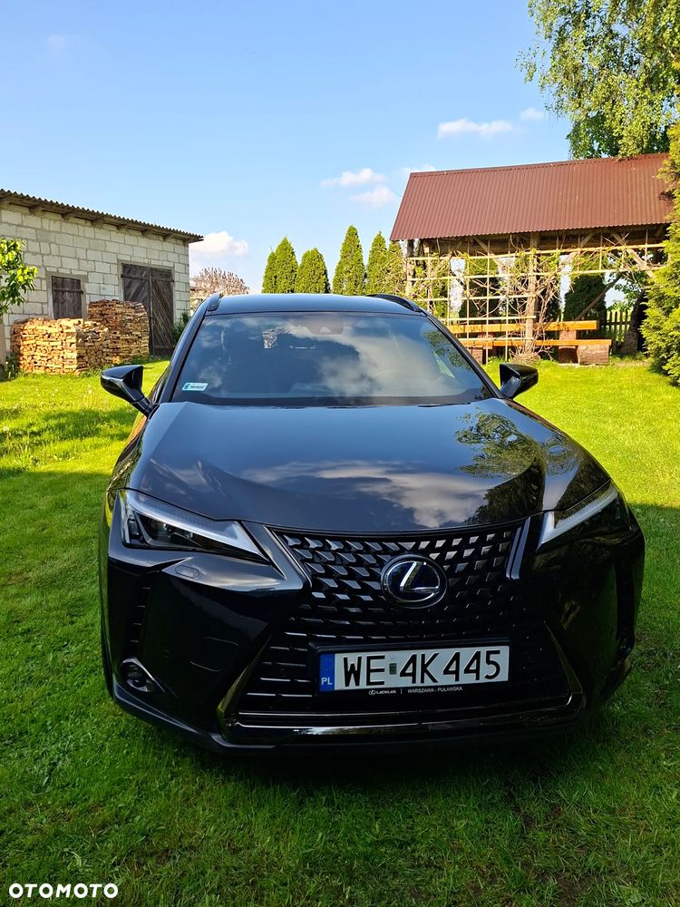 Lexus UX - 6