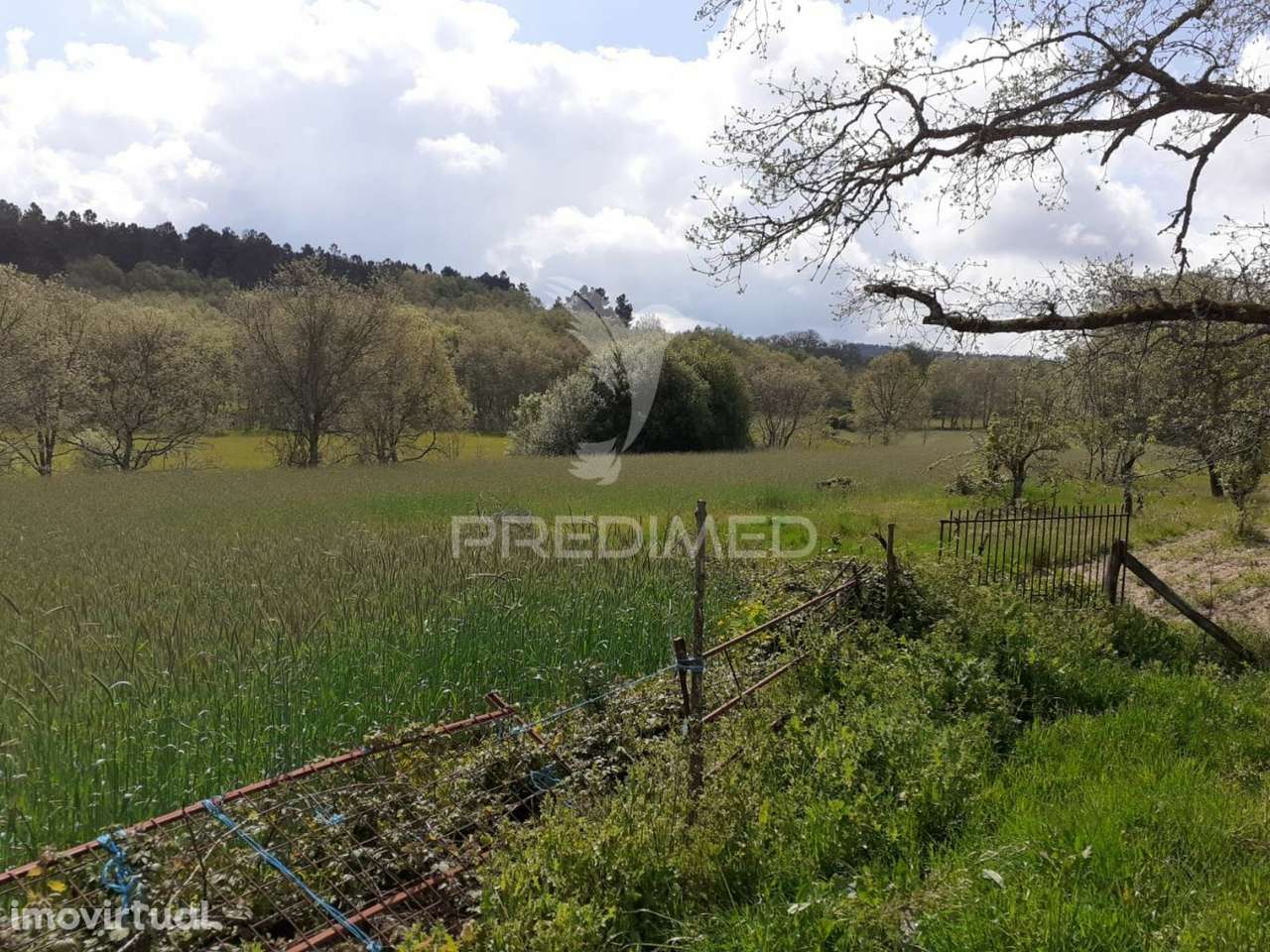 Quinta em local sossegado - Trancoso - Grande imagem: 5/14