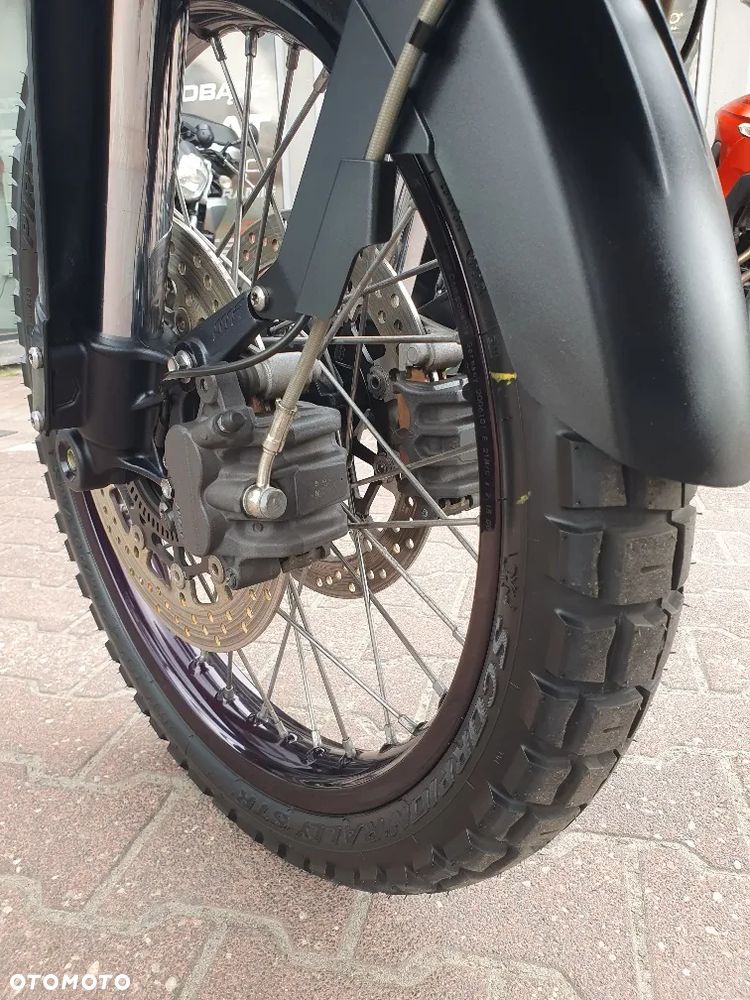 Triumph Tiger - 21