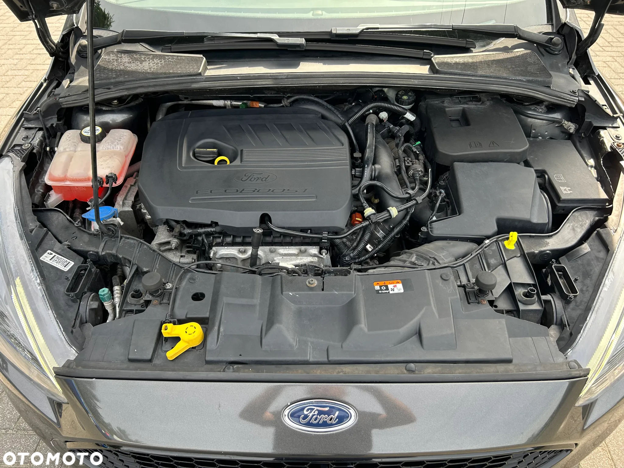 Ford Focus 1.5 EcoBoost ST-Line Red ASS - 15