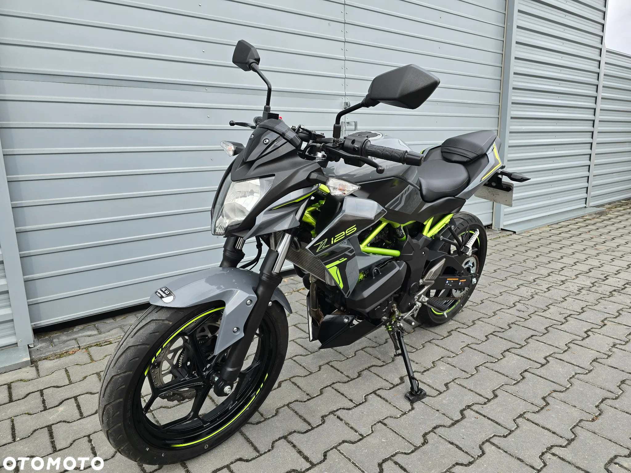 Kawasaki Z - 10