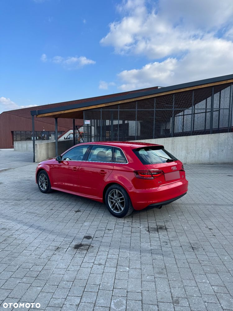 Audi A3 1.6 TDI ultra Attraction - 5