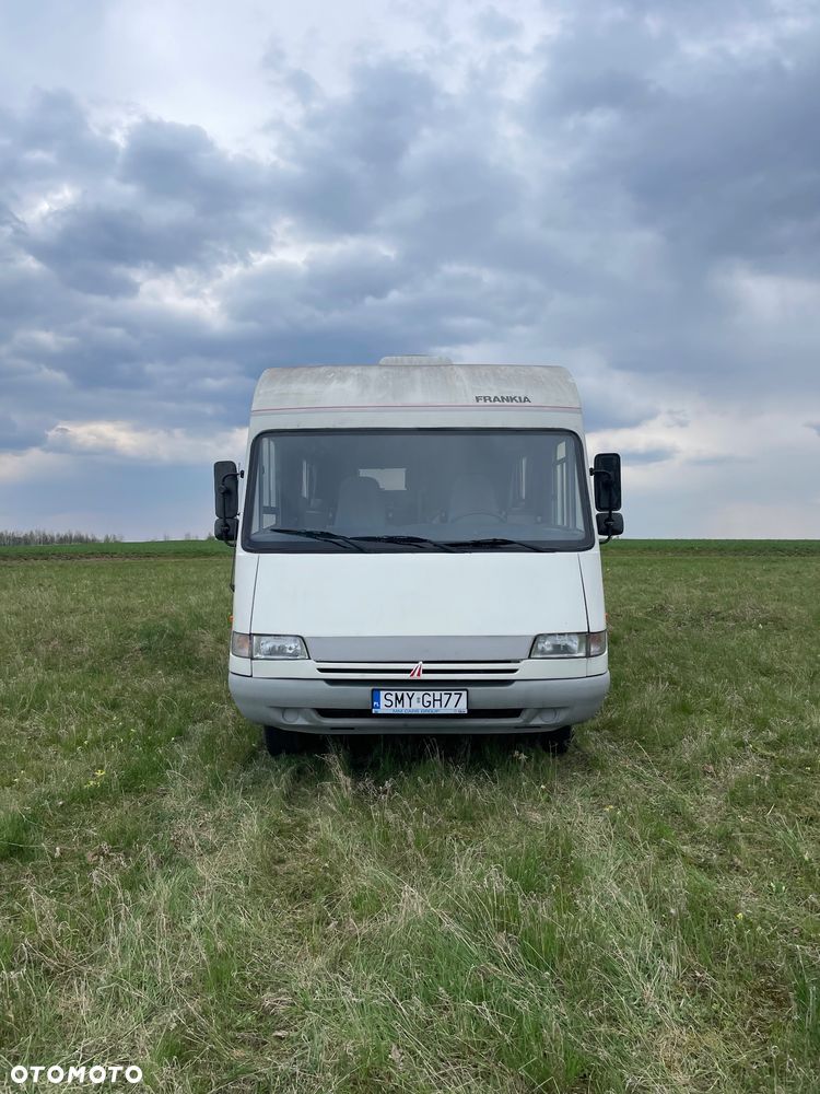 Frankia Frankia - 11