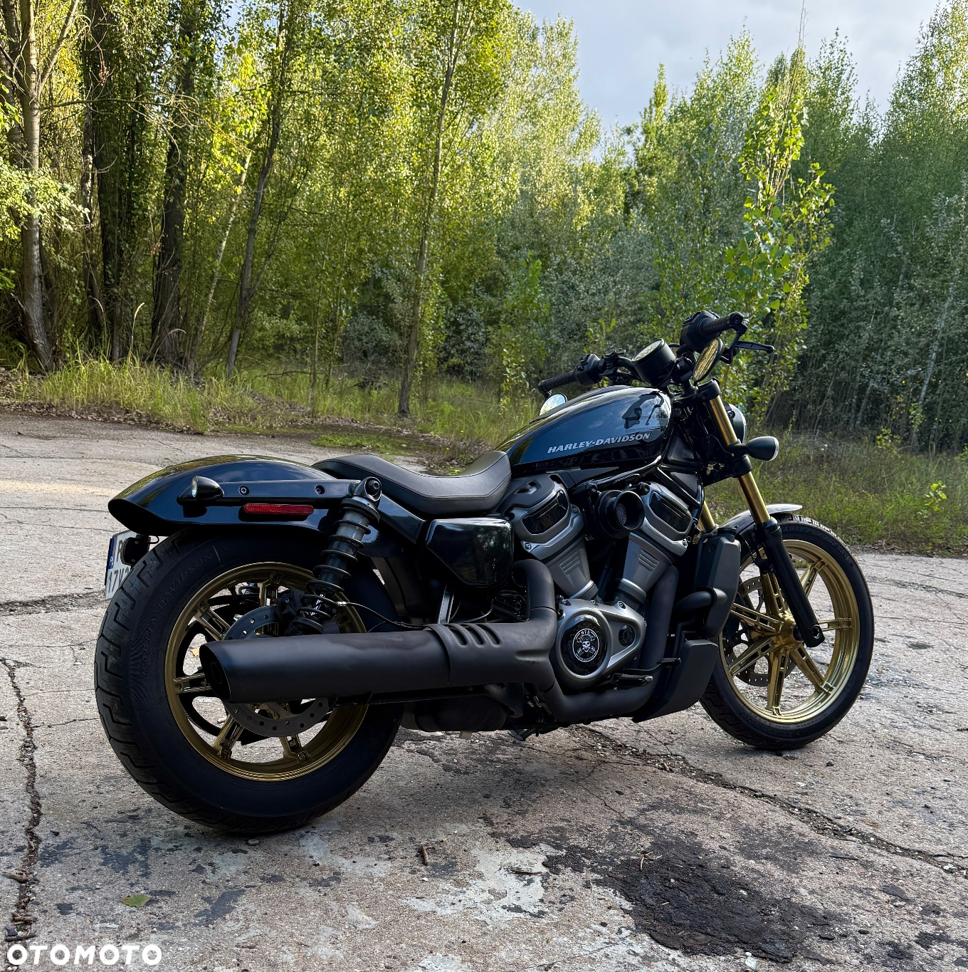 Harley-Davidson Sportster Nightster 975 - 5