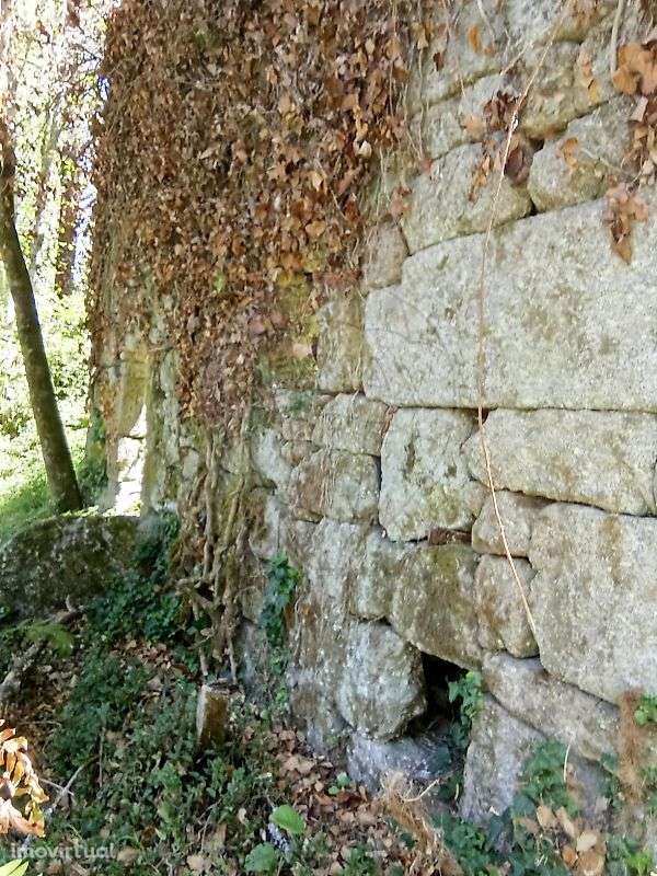 Quinta T2 para venda - Grande imagem: 3/13