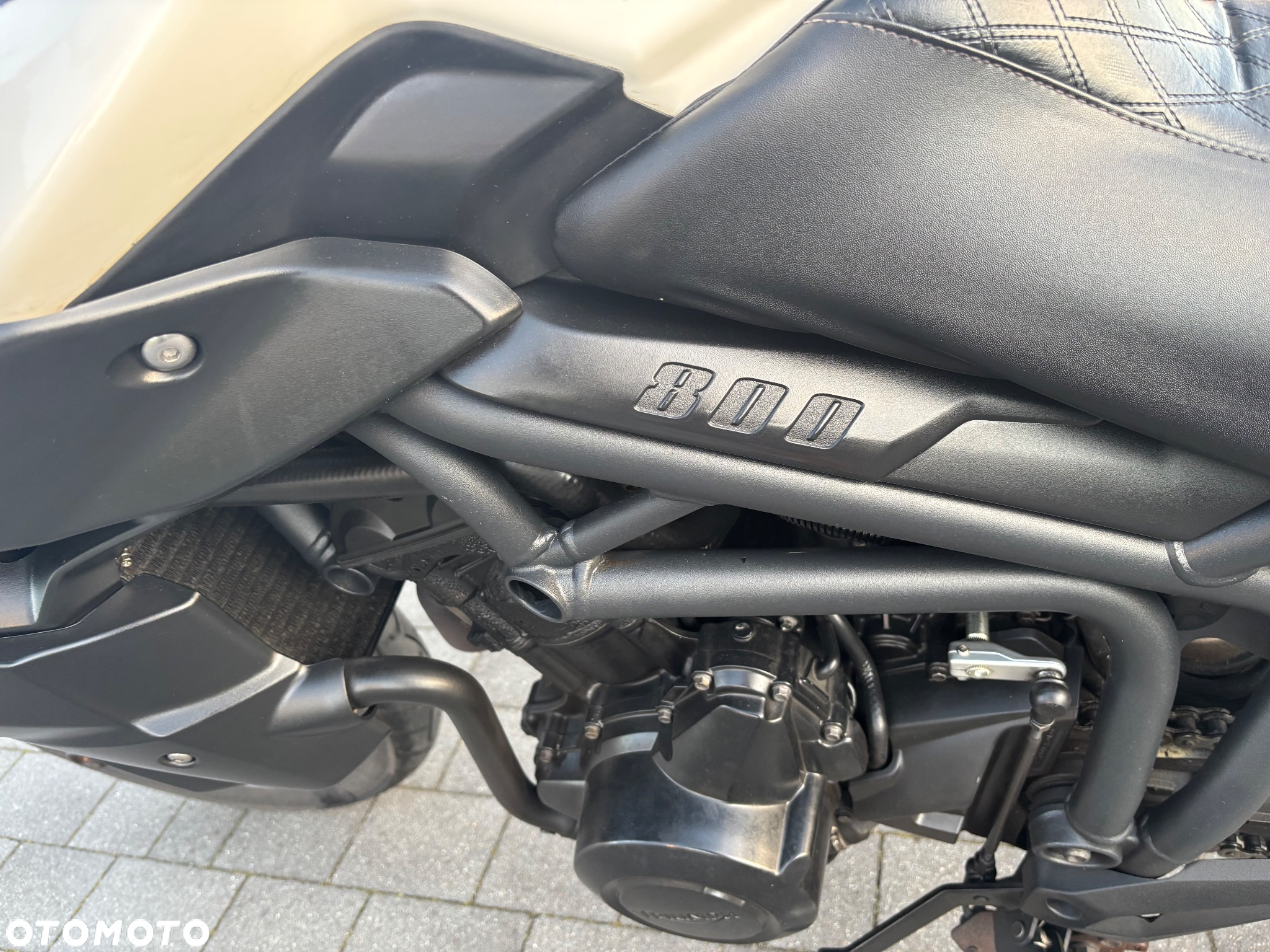 Triumph Tiger - 10