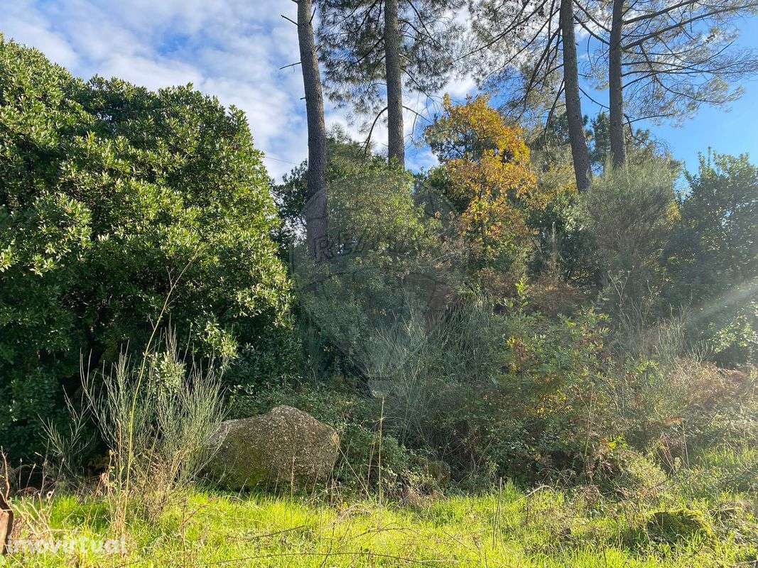 Terreno  para venda - Grande imagem: 2/7