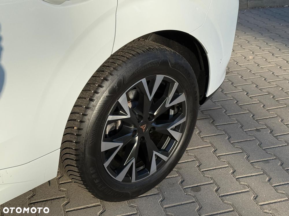 Cupra Terramar 1.5 eTSI DSG Tribe Edition - 12