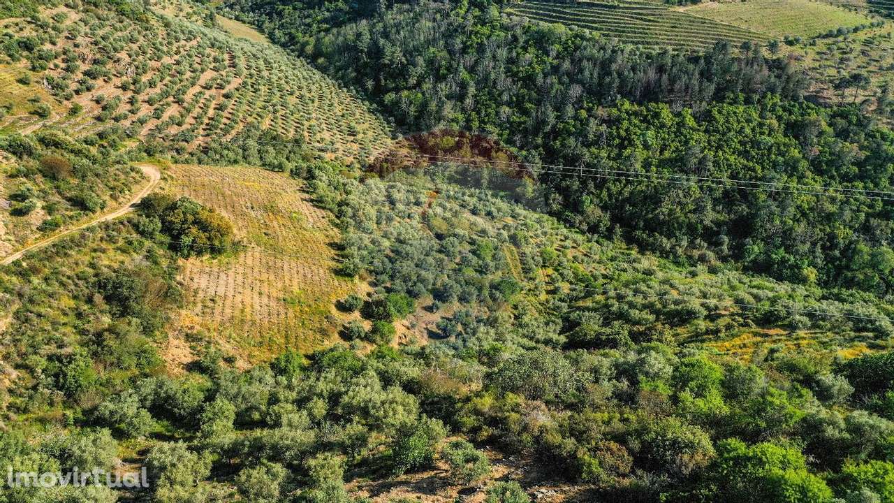 Terreno  para venda - Grande imagem: 3/10