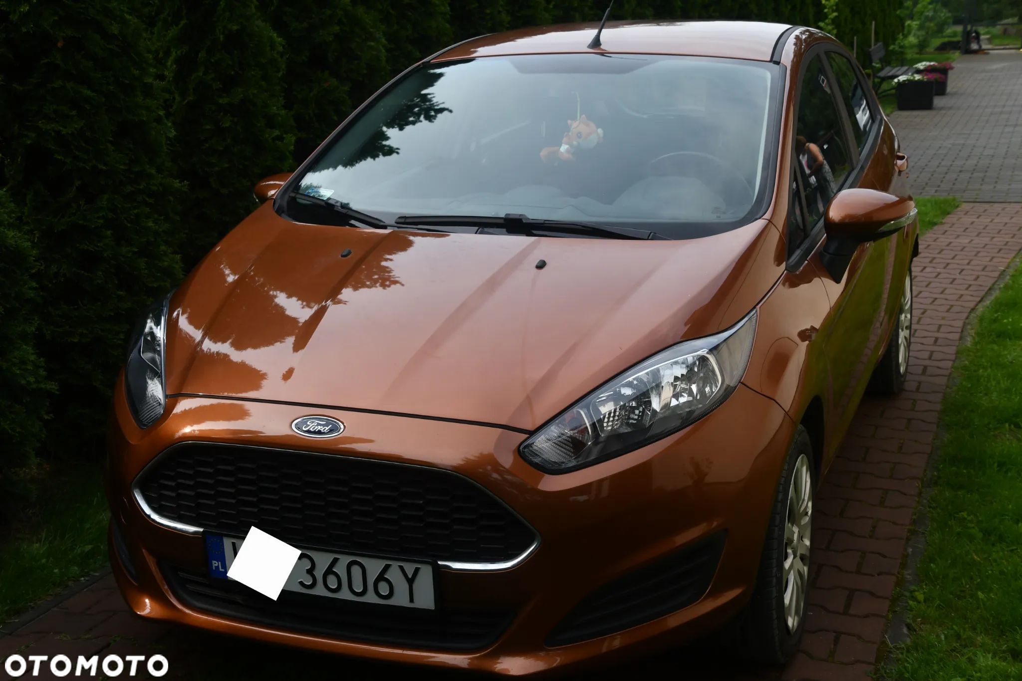 Ford Fiesta - 1