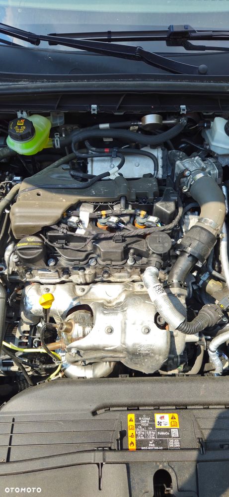 Ford Focus 1.5 EcoBlue Titanium - 23