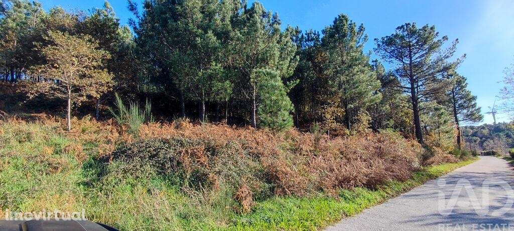 Terreno em Moledo de 9040,00 m2 - Grande imagem: 2/18