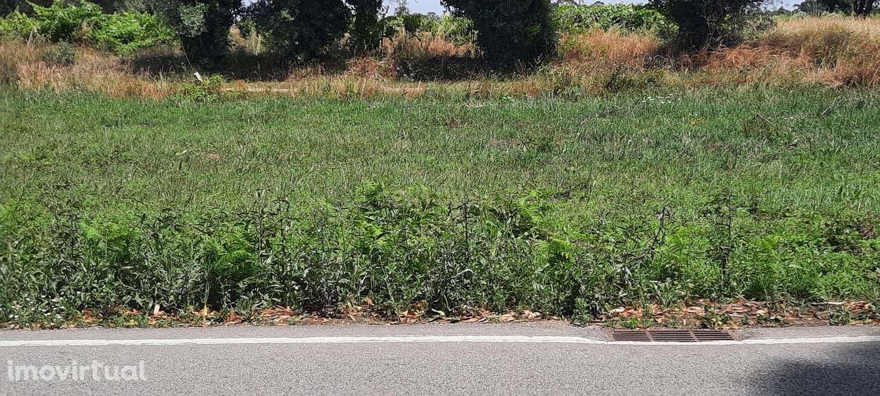 Terreno à venda em Ouca, Vagos - 44.500€ - Grande imagem: 3/9
